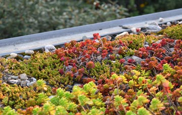 the cost of Hetton Le Hill green roof installation